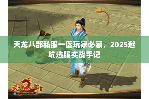 天龙八部私服一区玩家必藏，2025避坑选服实战手记