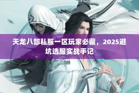 天龙八部私服一区玩家必藏，2025避坑选服实战手记
