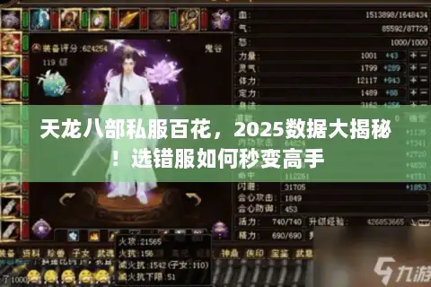 天龙八部私服百花，2025数据大揭秘！选错服如何秒变高手