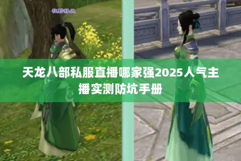 天龙八部私服直播哪家强2025人气主播实测防坑手册