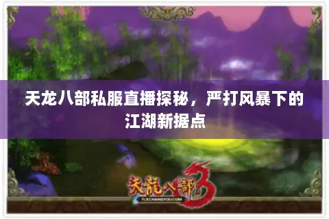 天龙八部私服直播探秘，严打风暴下的江湖新据点