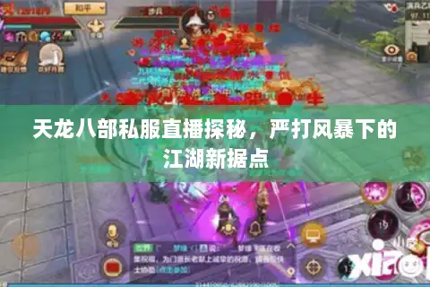 天龙八部私服直播探秘，严打风暴下的江湖新据点