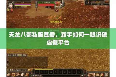 天龙八部私服直播，新手如何一眼识破虚假平台