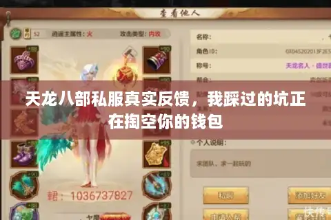 天龙八部私服真实反馈，我踩过的坑正在掏空你的钱包