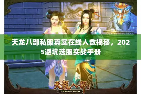 天龙八部私服真实在线人数揭秘，2025避坑选服实战手册