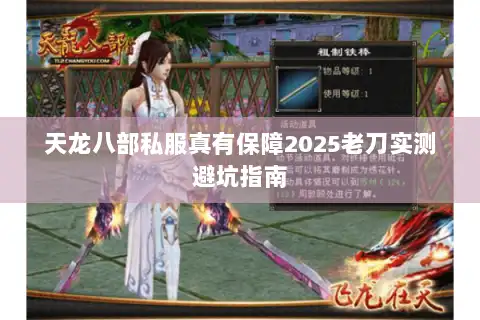 天龙八部私服真有保障2025老刀实测避坑指南