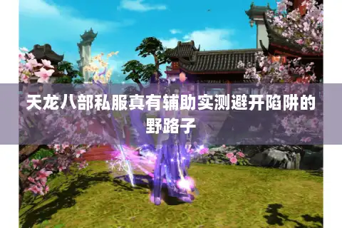 天龙八部私服真有辅助实测避开陷阱的野路子