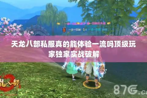 天龙八部私服真的能体验一流吗顶级玩家独家实战破解 天龙八部私服真的能体验一流吗顶级玩家独家实战破解