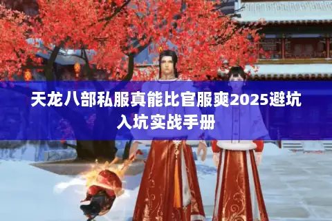 天龙八部私服真能比官服爽2025避坑入坑实战手册