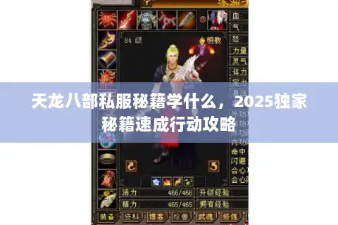 天龙八部私服秘籍学什么，2025独家秘籍速成行动攻略
