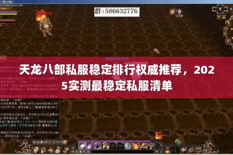 天龙八部私服稳定排行权威推荐,2025实测最稳定私服清单 天龙八部私服稳定排行权威推荐,2025实测最稳定私服清单