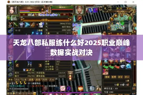 天龙八部私服练什么好2025职业巅峰数据实战对决