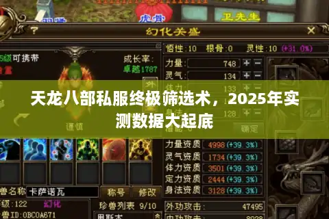 天龙八部私服终极筛选术，2025年实测数据大起底
