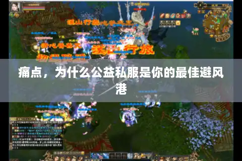 痛点,为什么公益私服是你的最佳避风港 痛点,为什么公益私服是你的最佳避风港