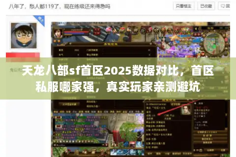 天龙八部sf首区2025数据对比，首区私服哪家强，真实玩家亲测避坑
