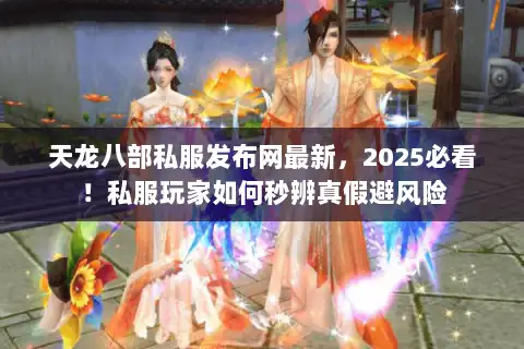 天龙八部私服发布网最新，2025必看！私服玩家如何秒辨真假避风险