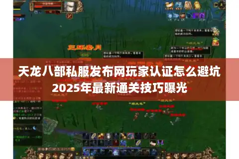 天龙八部私服发布网玩家认证怎么避坑2025年最新通关技巧曝光 天龙八部私服发布网玩家认证怎么避坑2025年最新通关技巧曝光
