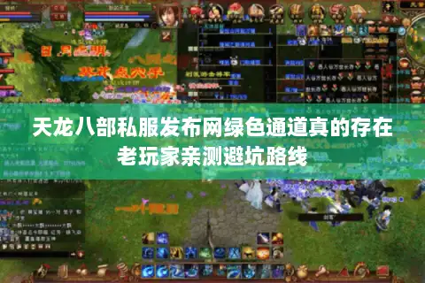 天龙八部私服发布网绿色通道真的存在老玩家亲测避坑路线 天龙八部私服发布网绿色通道真的存在老玩家亲测避坑路线