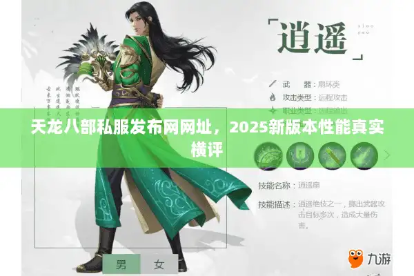 天龙八部私服发布网网址，2025新版本性能真实横评