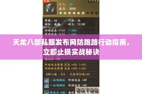 天龙八部私服发布网防跑路行动指南，立即止损实战秘诀