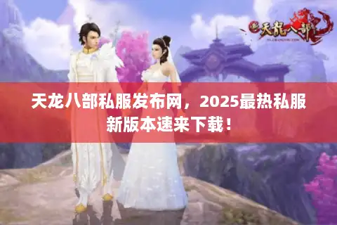 天龙八部私服发布网，2025最热私服新版本速来下载！