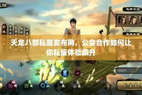 天龙八部私服发布网，公会合作如何让你私服体验飙升