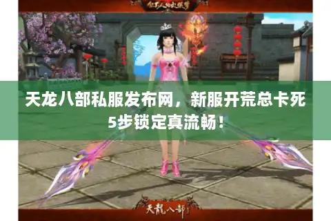 天龙八部私服发布网，新服开荒总卡死5步锁定真流畅！
