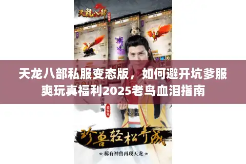 天龙八部私服变态版,如何避开坑爹服爽玩真福利2025老鸟血泪指南 天龙八部私服变态版,如何避开坑爹服爽玩真福利2025老鸟血泪指南
