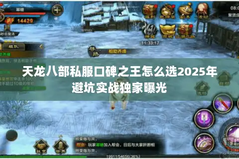 天龙八部私服口碑之王怎么选2025年避坑实战独家曝光