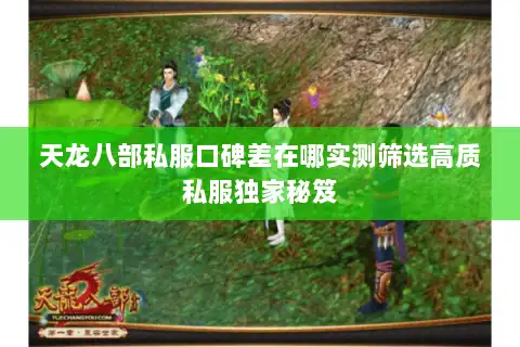 天龙八部私服口碑差在哪实测筛选高质私服独家秘笈