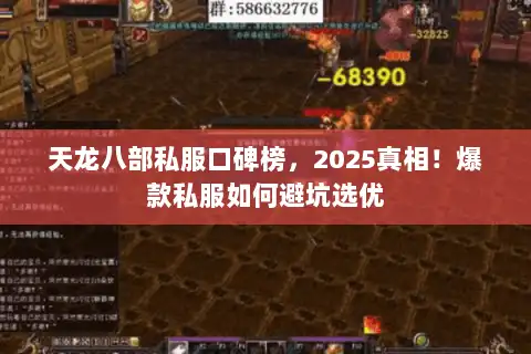 天龙八部私服口碑榜，2025真相！爆款私服如何避坑选优