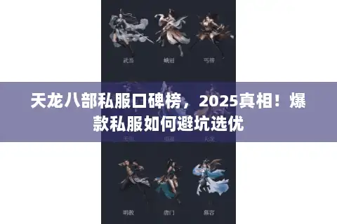 天龙八部私服口碑榜，2025真相！爆款私服如何避坑选优