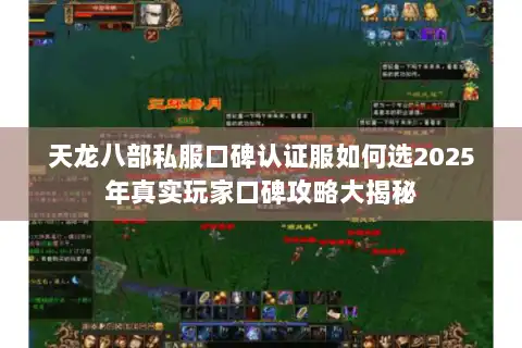 天龙八部私服口碑认证服如何选2025年真实玩家口碑攻略大揭秘
