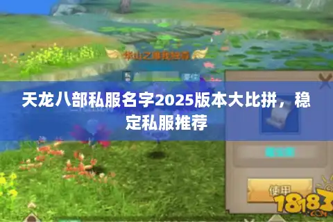 天龙八部私服名字2025版本大比拼,稳定私服推荐 天龙八部私服名字2025版本大比拼,稳定私服推荐