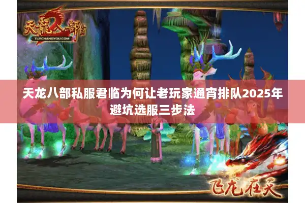 天龙八部私服君临为何让老玩家通宵排队2025年避坑选服三步法 天龙八部私服君临为何让老玩家通宵排队2025年避坑选服三步法