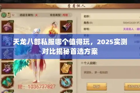 天龙八部私服哪个值得玩，2025实测对比揭秘首选方案