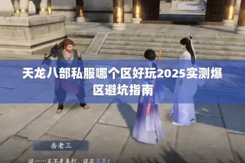 天龙八部私服哪个区好玩2025实测爆区避坑指南