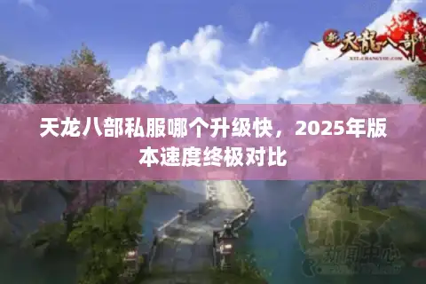 天龙八部私服哪个升级快，2025年版本速度终极对比