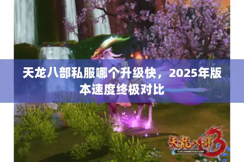 天龙八部私服哪个升级快，2025年版本速度终极对比
