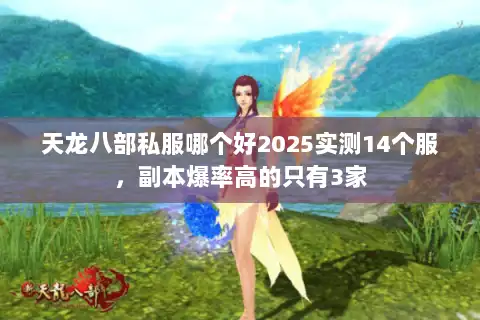 天龙八部私服哪个好2025实测14个服，副本爆率高的只有3家