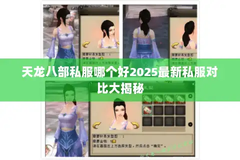 天龙八部私服哪个好2025最新私服对比大揭秘