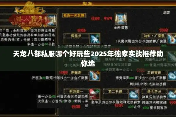 天龙八部私服哪个好玩些2025年独家实战推荐助你选