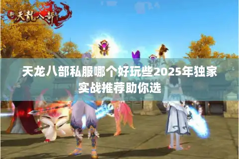 天龙八部私服哪个好玩些2025年独家实战推荐助你选