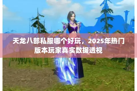 天龙八部私服哪个好玩,2025年热门版本玩家真实数据透视 天龙八部私服哪个好玩,2025年热门版本玩家真实数据透视