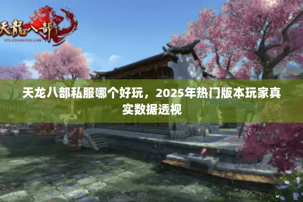 天龙八部私服哪个好玩,2025年热门版本玩家真实数据透视 天龙八部私服哪个好玩,2025年热门版本玩家真实数据透视