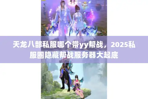 天龙八部私服哪个带yy帮战，2025私服圈隐藏帮战服务器大起底