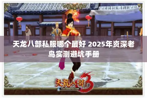 天龙八部私服哪个最好 2025年资深老鸟实测避坑手册