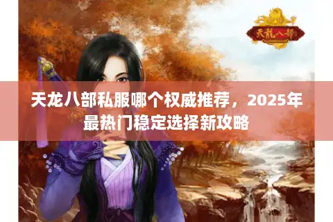 天龙八部私服哪个权威推荐，2025年最热门稳定选择新攻略