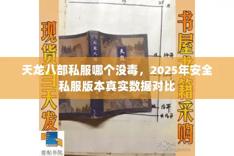 天龙八部私服哪个没毒,2025年安全私服版本真实数据对比 天龙八部私服哪个没毒,2025年安全私服版本真实数据对比