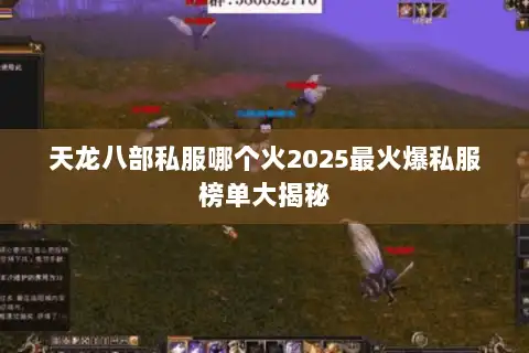 天龙八部私服哪个火2025最火爆私服榜单大揭秘